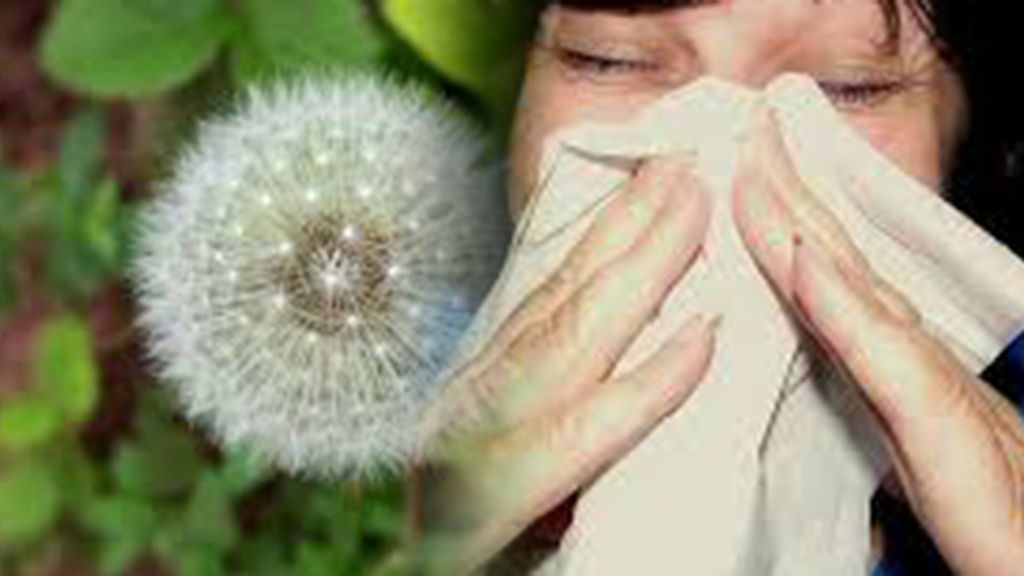 Estornudar todo le rato por un catarro o una alergia