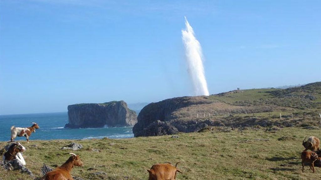 Asturias tiene bufones