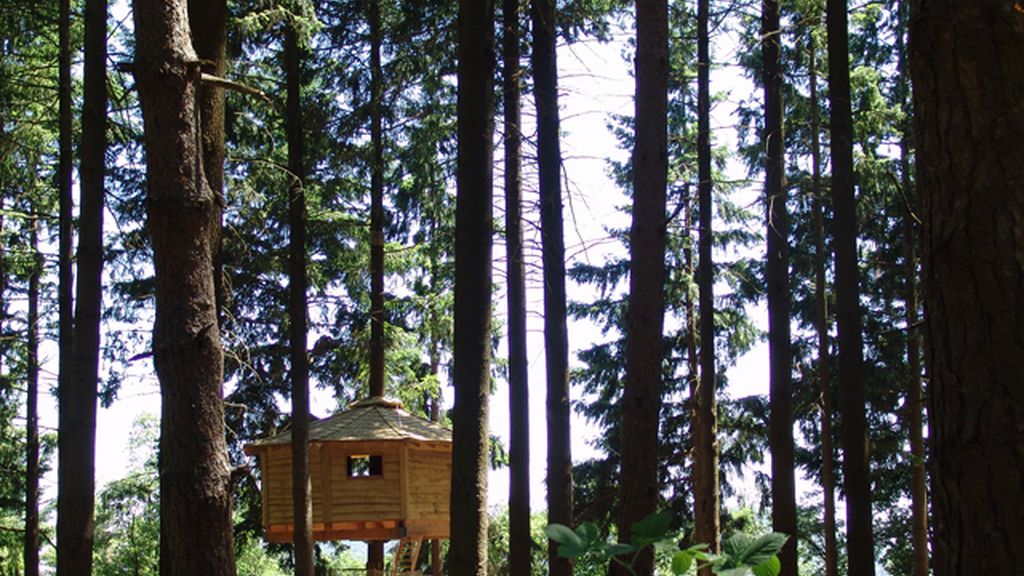 1. Cabanes als arbres