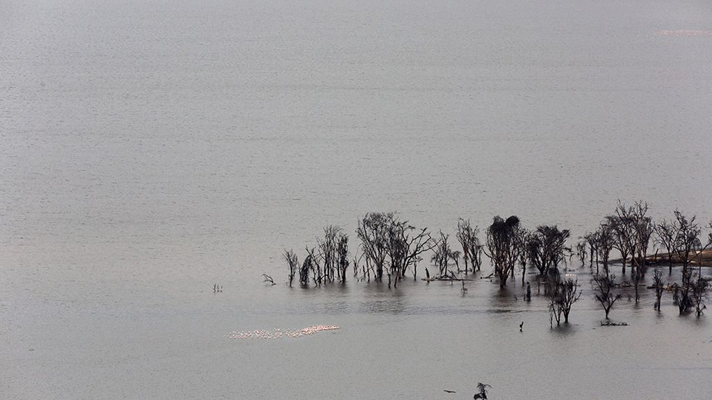El hogar de grandes animales africanos