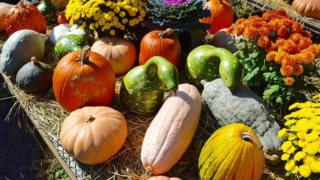 Calabaza y mantendrás el bronceado
