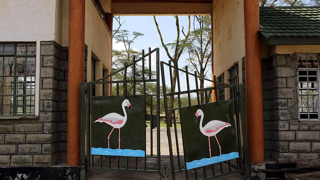 El hogar de grandes animales africanos