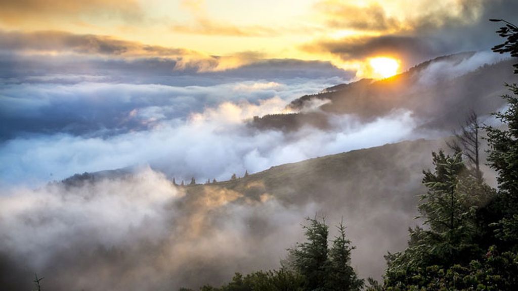 ¿Es lo mismo la neblina, la bruma o la calima? Guía para saber interpretar la niebla