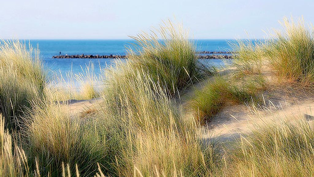 Los vientos más famosos de España