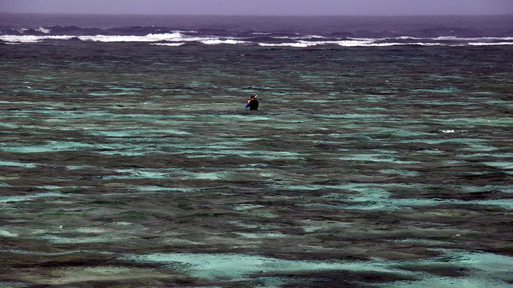 El conjunto de arrecife coralífero más extenso del mundo