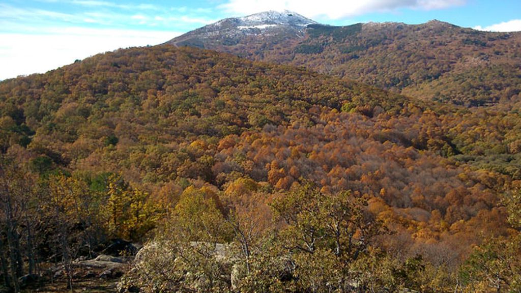 Castañar de las Rozas de Puerto Real en el Embalse de los Morales de Madrid
