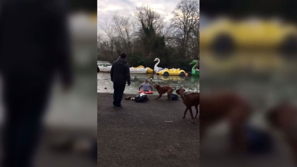 Londres, mucho frío: ¿te tirarías a un lago helado como ella para salvar a un perro?