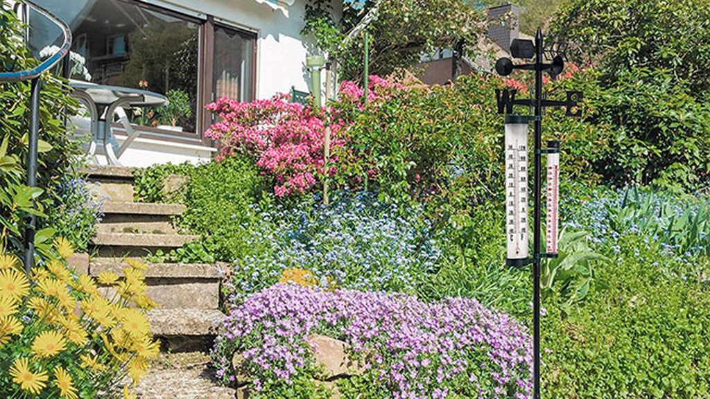 Anota todos los días los datos con la estación meteorológica de jardín