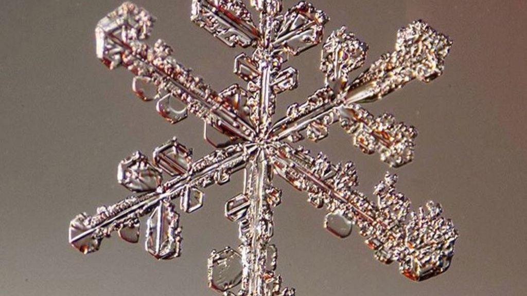 La gran belleza de lo más pequeño: así se ven los copos de nieve en el microscopio