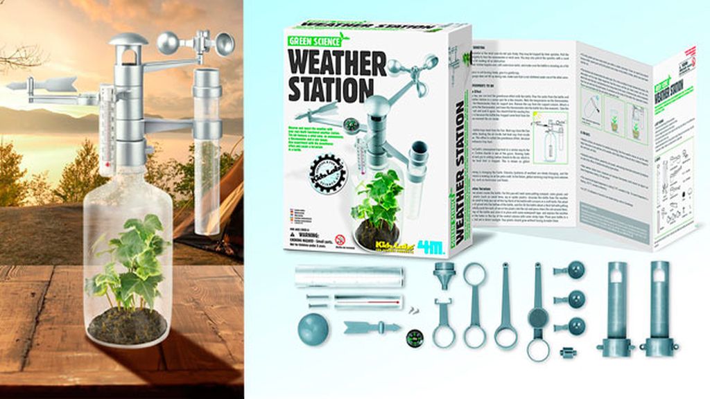 Así cambia el tiempo y así afecta a las plantas