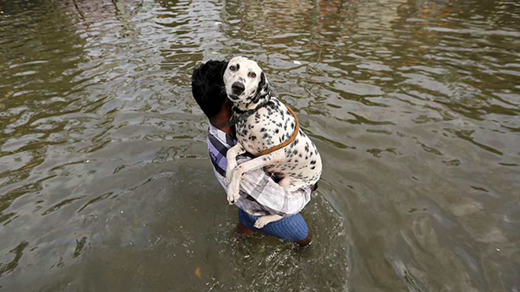 Fotos de las fuertes inundaciones en la India