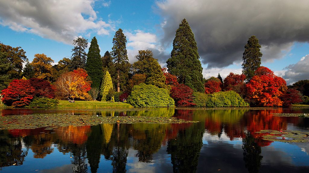¡Adiós a la estación de la caída de la hoja!