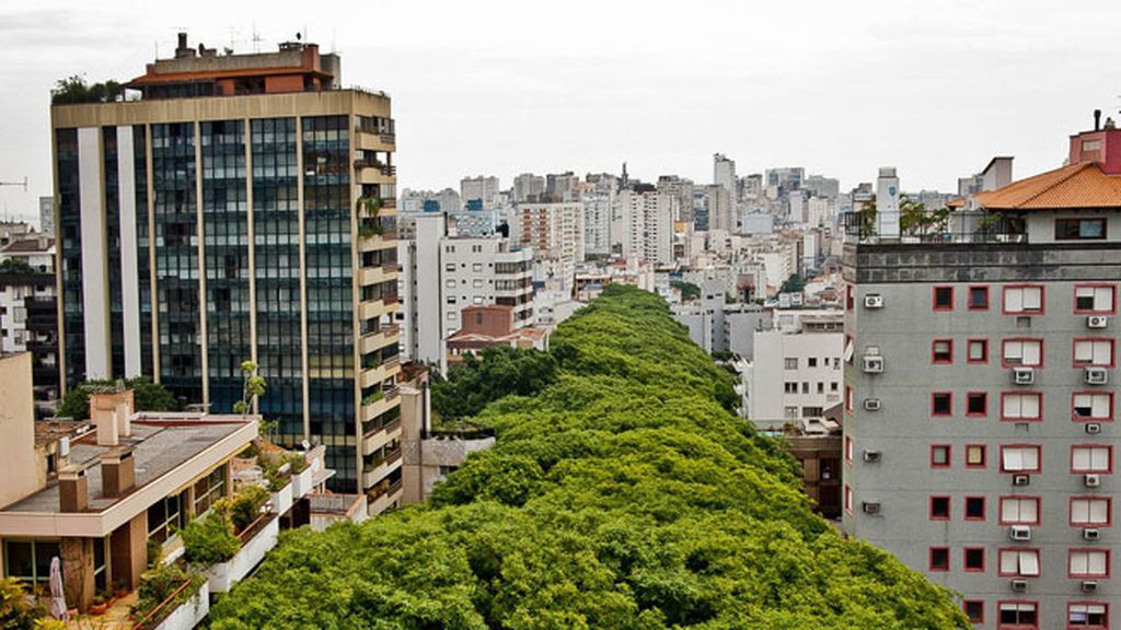 Puerto Alegre: una calle convertida en bosque