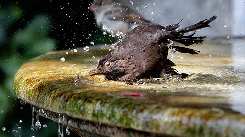 Fuentes que parecen piscinas