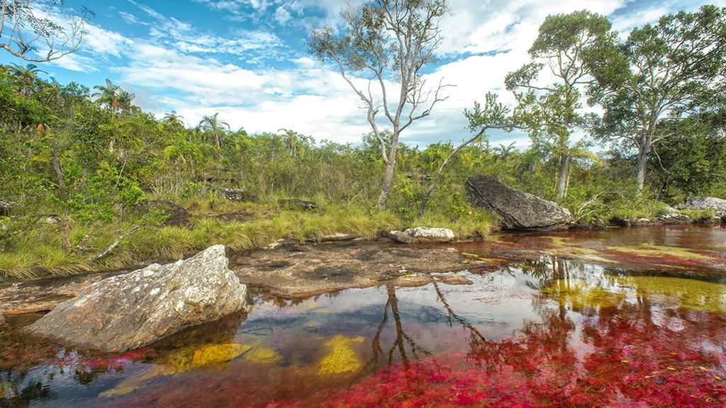 Unos 100 kilómetros de Paraíso en Colombia
