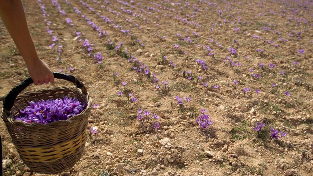 Escapada con sabor a azafrán