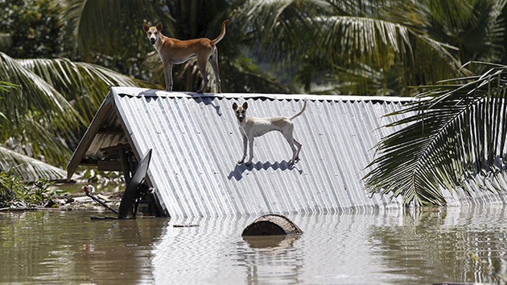 Hay más de 200.000 afectados por las fuertes inundaciones