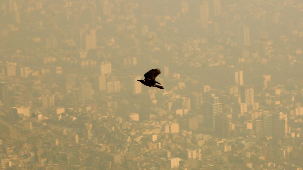 Aves como esta planean sobre los sucios cielos contaminados de Irán