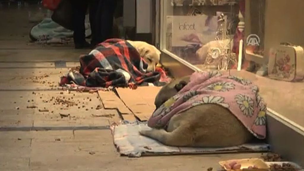 Salvados de las tormentas de nieve que asolan Europa