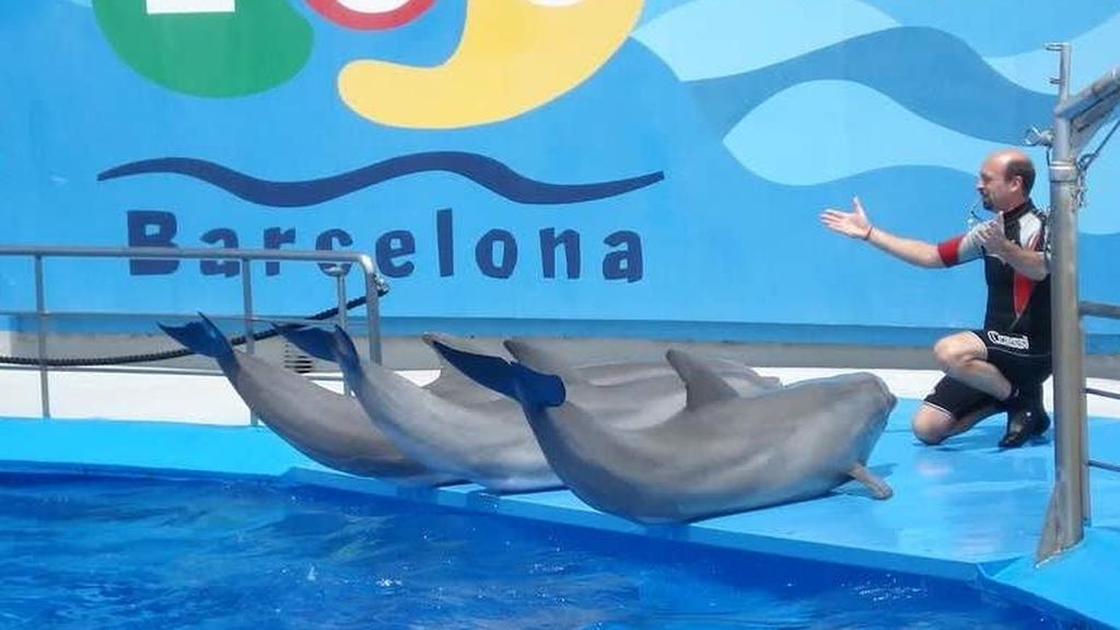 delfin