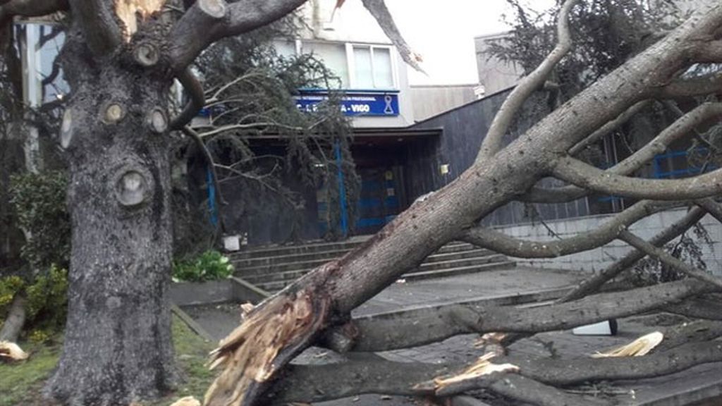 Olas colosales y viento arrollador: la peor parte del temporal y su eco en las redes