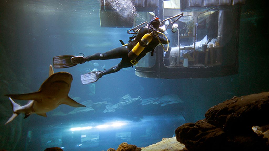 Una habitación en el acuario de París rodeada de 35 tiburones