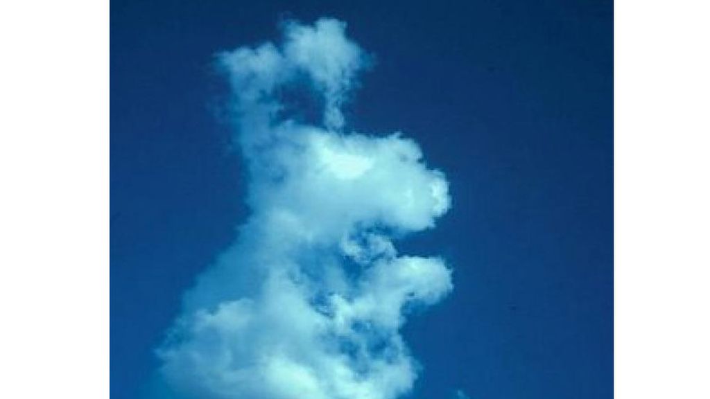 El conejo de Alicia en el País de las Maravillas está donde menos te lo esperas