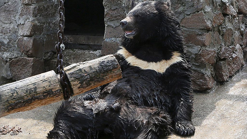 ¡Yo de aquí no me muevo!