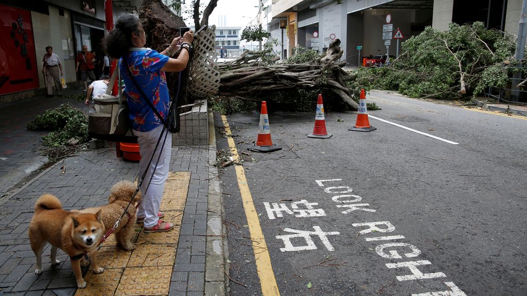 La lluvia y el viento dañaron 19.600 hectáreas de cultivos y 2.400 casas