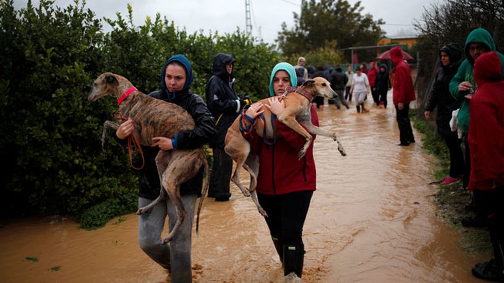 Los ciudadanos no han tardado en compartir los destrozos