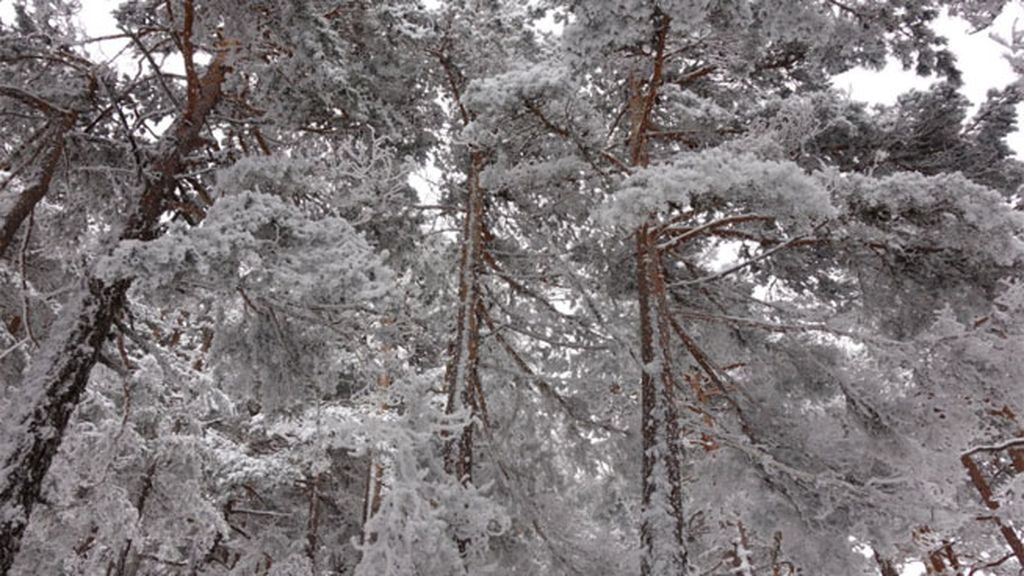 Cercedilla en el Puerto de Navacerrada en Madrid (@AytoCercedilla)