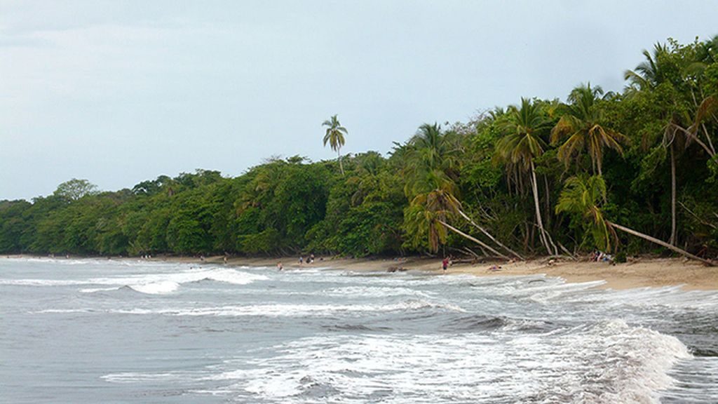 Cahuita, fauna exótica y kilómetros de selva costarriqueña
