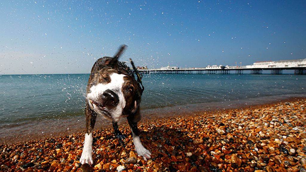 ¡Aparta, que salpico!