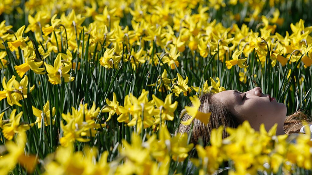 Primavera 3 Primavera 3