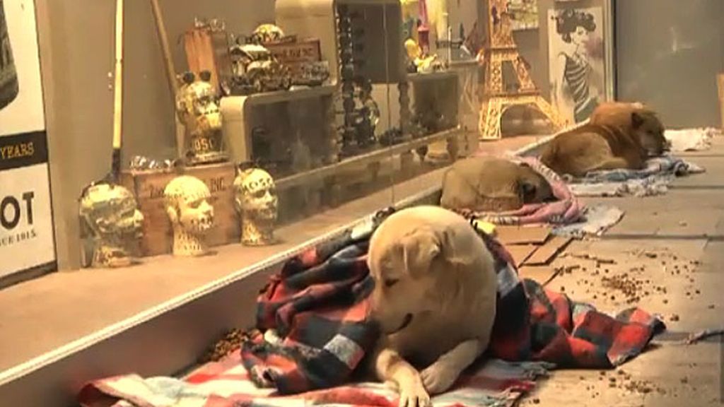 Salvados de las tormentas de nieve que asolan Europa