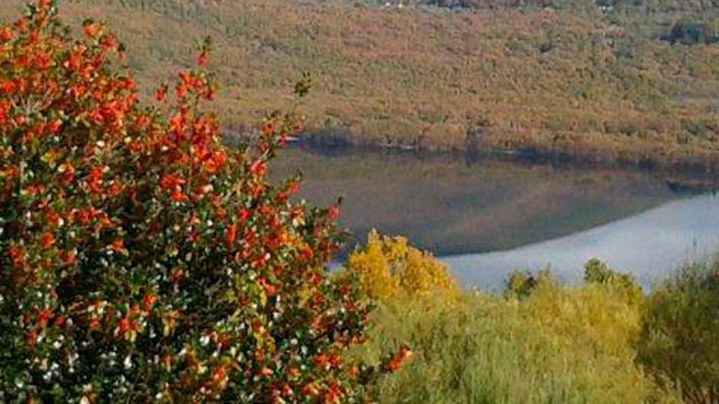 En tierra de lobos en la Sierra de la Culebra (Zamora)