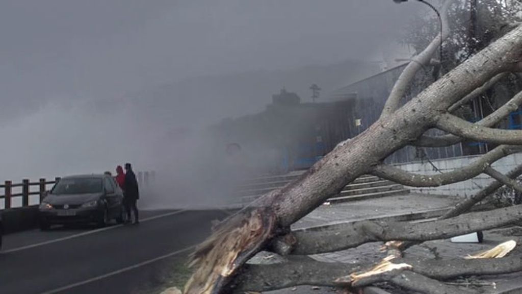 Olas colosales y viento arrollador: la peor parte del temporal y su eco en las redes