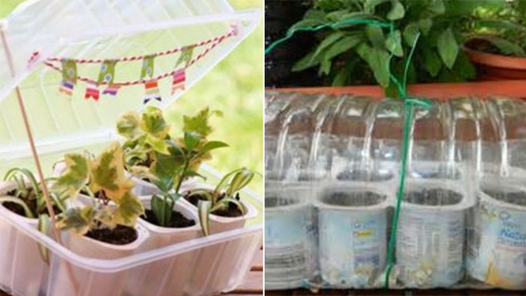 No necesitas aire fresco, ni luz solar: crea un huerto urbano ‘indoor’