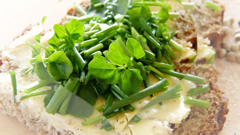 El berro ayuda a ser más activo en la cama y es muy bajo en calorías