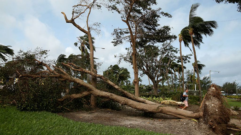 Las Bahamas, destrozos impactantes en las calles y ningún fallecido