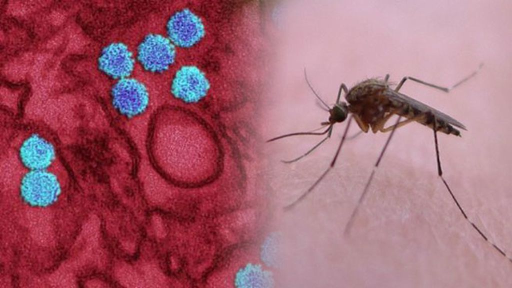 La expansión del zika