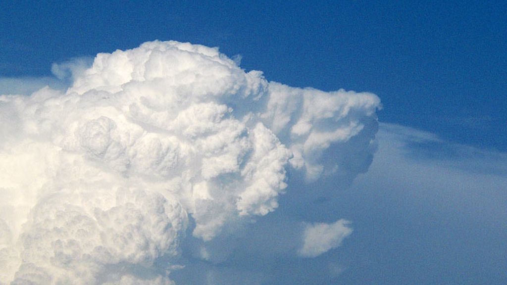 ¡Un perrito piloto, sin duda!