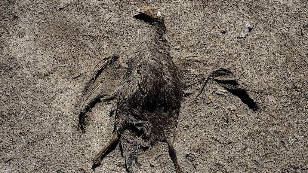 Desaparece el segundo lago más grande de Bolivia