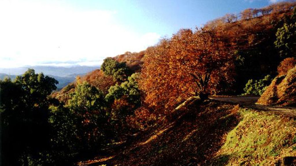 Señorío de Ronda en Málaga