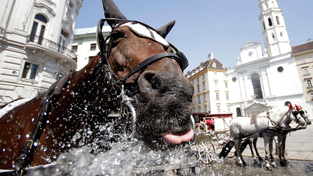 Un traguito o dos de agua