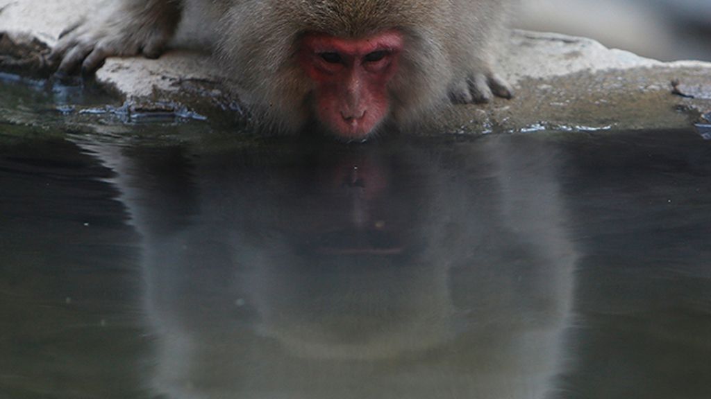Huyen del frío bañándose en fuentes termales
