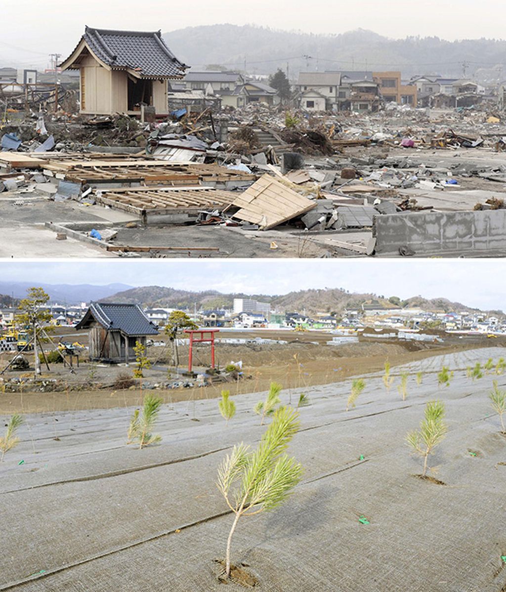 Se cumplen cinco años de la tragedia