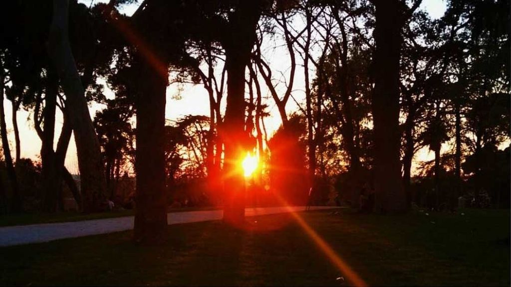 El espectáculo de luces del sol al pasar entre los árboles al atardecer