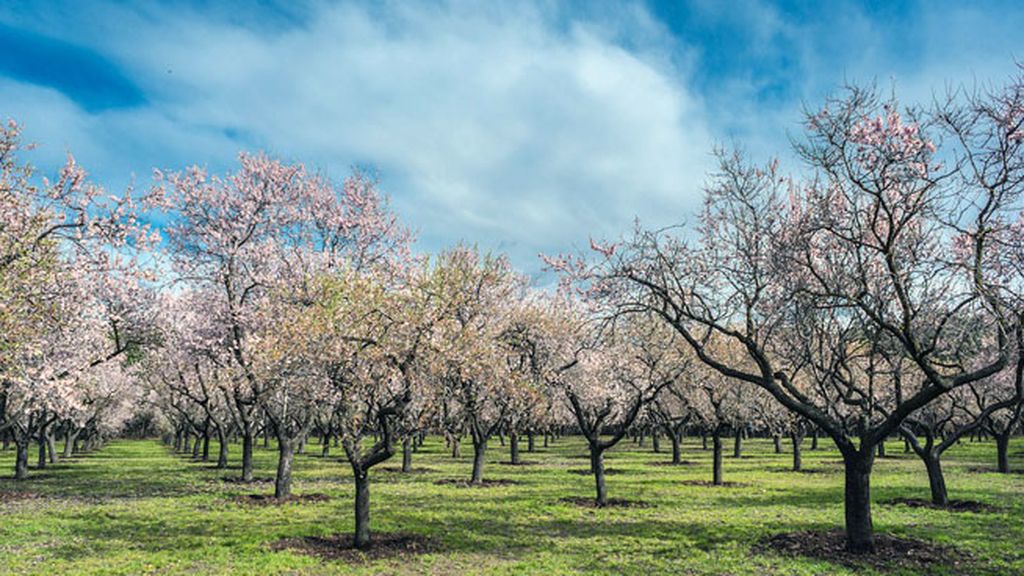 primavera en marzo