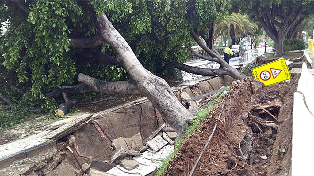 Los ciudadanos no han tardado en compartir imágenes de los destrozos